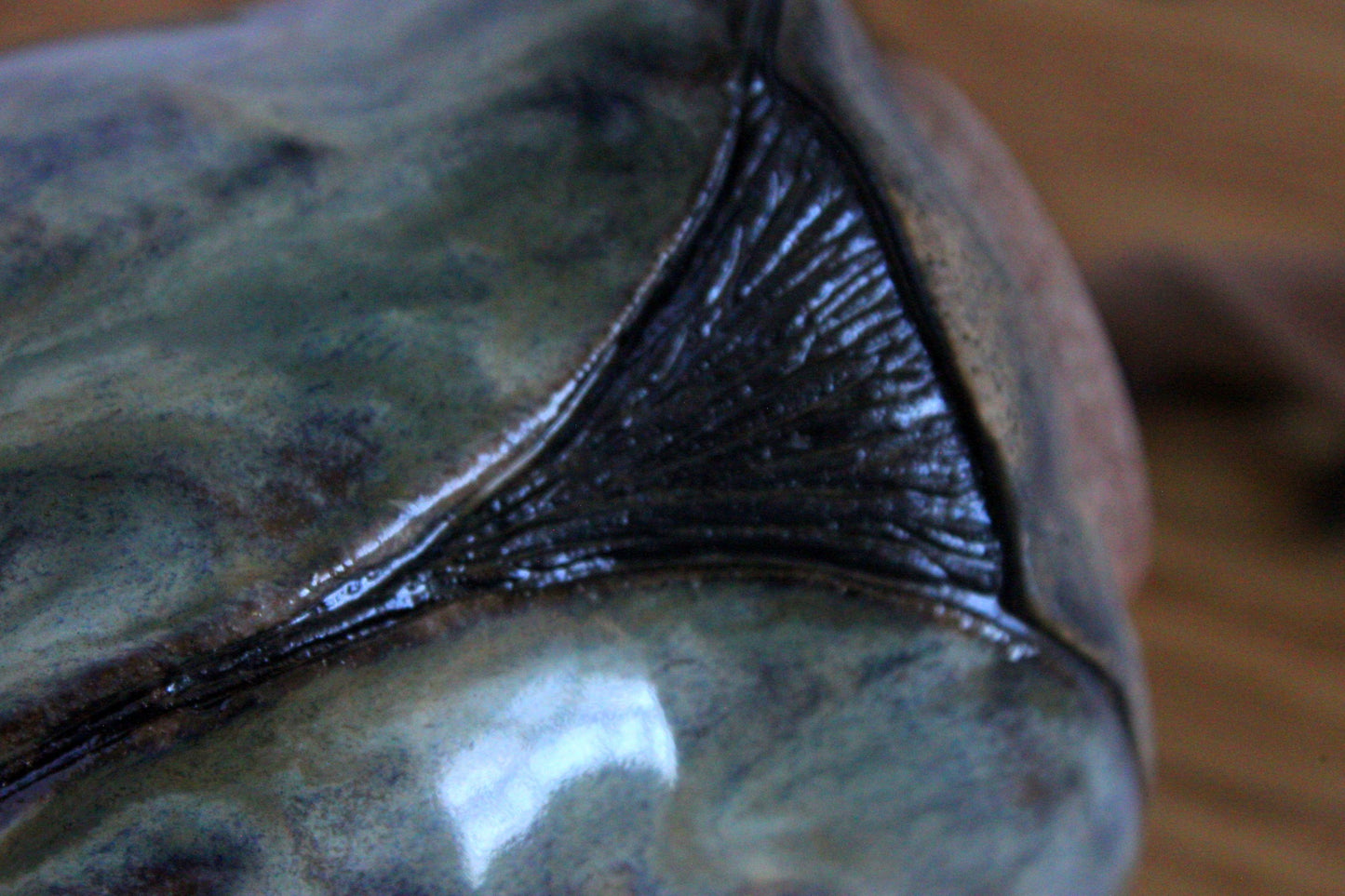 "Beetle Lidded Ceramic Jar"