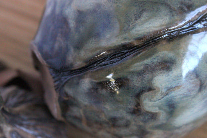 "Beetle Lidded Ceramic Jar"