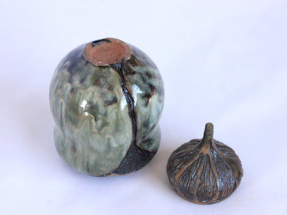 "Beetle Lidded Ceramic Jar"