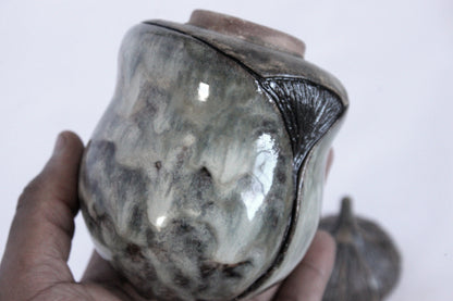 "Beetle Lidded Ceramic Jar"